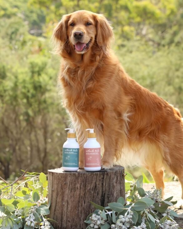 484035023_1053914686753753_2350160790713971756_n (1)