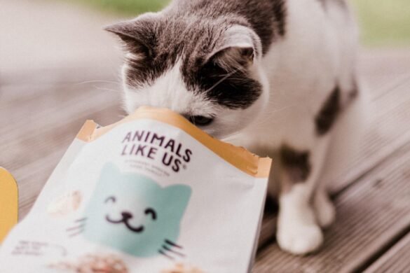 485070625_1272042191203860_2541231413462905477_n (1)