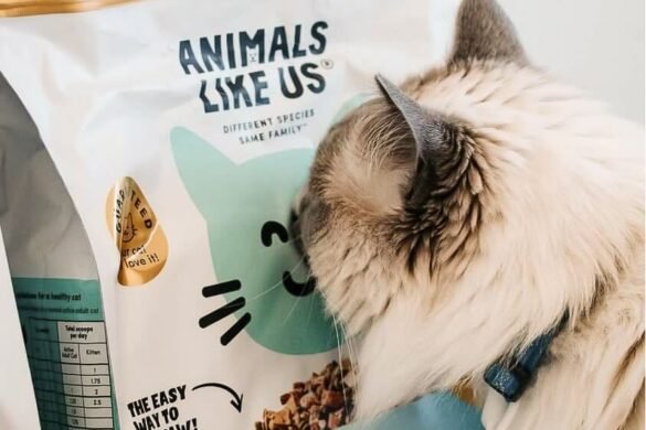 486209549_1276303560777723_1701070431652113255_n (1) Win an Animals Like Us Gift Pack Valued at $100