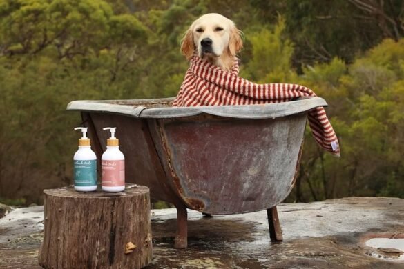 Win a $450 Outback Tails Grooming Range Voucher